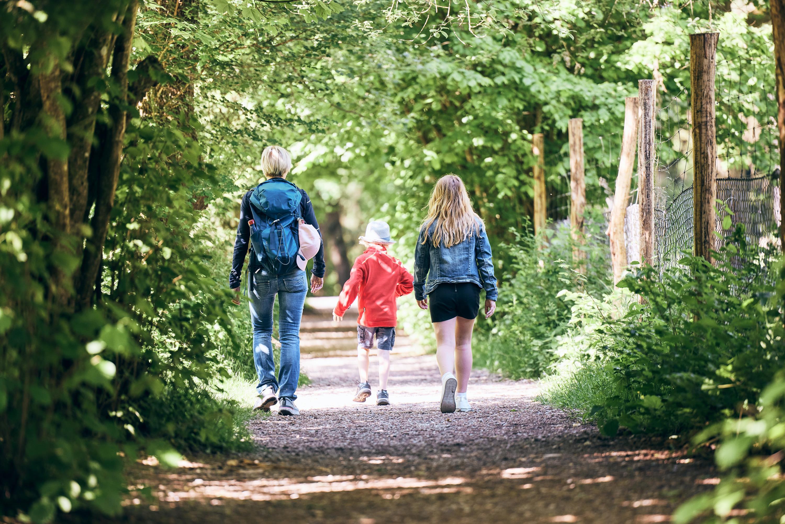 Wandern_Walderlebnispfad Hohenlindener Sauschütt